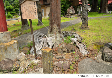 埼玉県秩父郡小鹿野町三山のパワースポット 古鷹(こたか)神社の大杉の跡 埼玉県秩父郡小鹿野町三山のパワースポット 古鷹(こたか)神社の大杉の跡 116394056