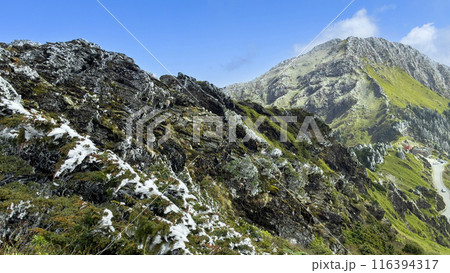 山腹 中腹 大木 116394317