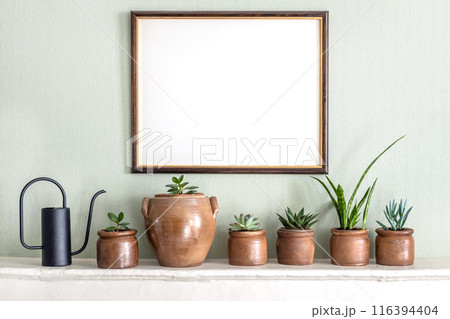 Mock up photo frame and variety of succulent home plants on a white shelf 116394404