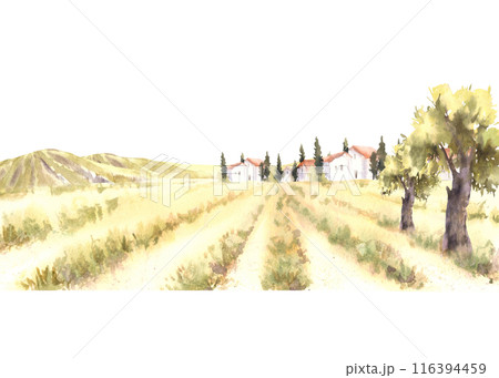 Landscape with orchards field, houses, trees, bushes and mountains and hills. Watercolor rural scene, countryside, nature of Tuscany. Hand draw illustration on white background for card, poster, label 116394459