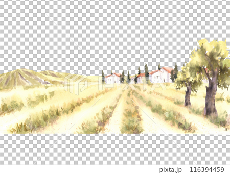 Landscape with orchards field, houses, trees, bushes and mountains and hills. Watercolor rural scene, countryside, nature of Tuscany. Hand draw illustration on white background for card, poster, label Landscape with orchards field, houses, trees, bushes and mountains and hills. Watercolor rural scene, countryside, nature of Tuscany. Hand draw illustration on white background for card, poster, label 116394459