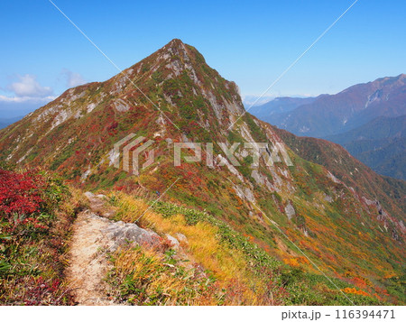 秋の谷川連峰・大源太山 秋の谷川連峰・大源太山 116394471