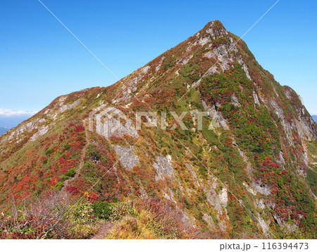 秋の谷川連峰・大源太山 秋の谷川連峰・大源太山 116394473