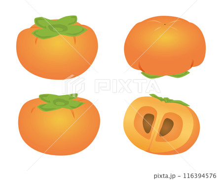 柿セット　秋の味覚　グラデーションイラスト 116394576