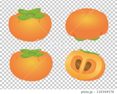 柿セット　秋の味覚　グラデーションイラスト 116394576