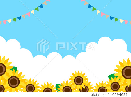 夏のひまわりと青空の夏休み風景背景19 夏のひまわりと青空の夏休み風景背景19 116394621