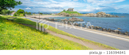 「青森県」蕪島プロムナード公園から望む蕪島　八戸市 116394841