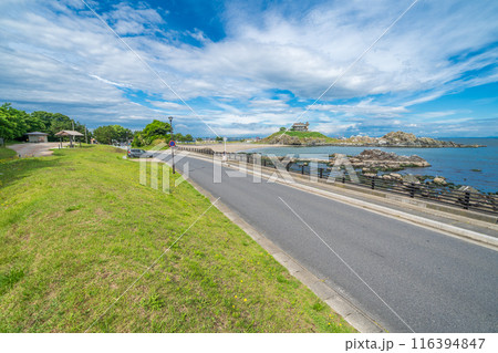 「青森県」蕪島プロムナード公園から望む蕪島　八戸市 116394847