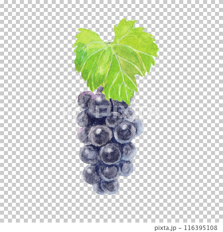 用水彩畫的巨峰山 116395108