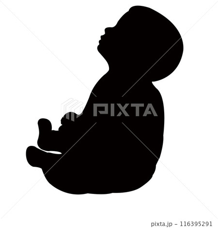 a boy body silhouette vector a boy body silhouette vector 116395291