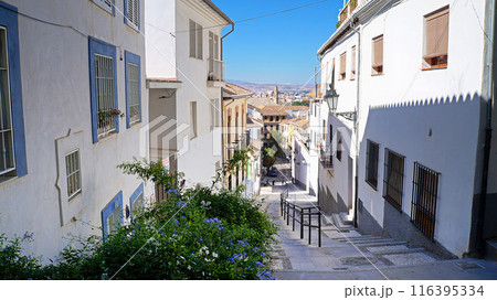 グラナダの住宅街【スペイン/アンダルシア州】 116395334