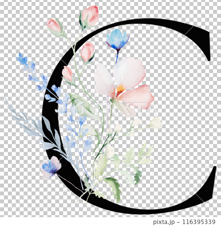 Black letter C with Watercolor pastel tender wild flowers and leaves, wedding isolated illustration Black letter C with Watercolor pastel tender wild flowers and leaves, wedding isolated illustration 116395339
