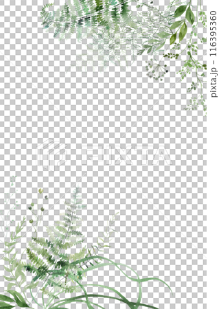 Wedding vertical background with Watercolor fern and botanical green leaves, copy space 116395360