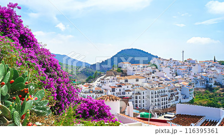 ブーゲンビリア咲くフリヒリアナの風景【スペイン/アンダルシア州】 116395361