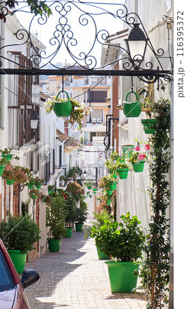 コスタデルソルのリゾート地、エステポナの風景【スペイン/アンダルシア州】 コスタデルソルのリゾート地、エステポナの風景【スペイン/アンダルシア州】 116395372