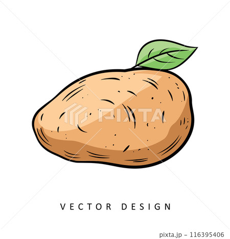 tasty potato isolated vector design illustration 116395406