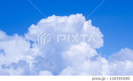 夏の空 2 116395890