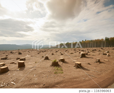 Deforestation Impact on Climate Change: A Stark Reminder of Climate Warming and Global Environmental Crisis Deforestation Impact on Climate Change: A Stark Reminder of Climate Warming and Global Environmental Crisis 116396063
