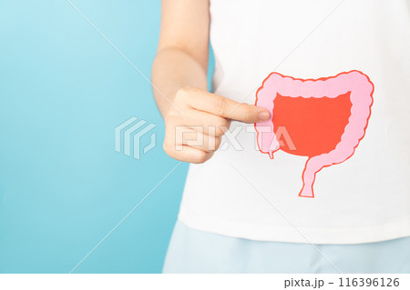 Woman hand holding intestine organ shape made form paper on blue background. Concept of healthy bowel digestion, colon cancer screening, intestinal disease treatment or colorectal cancer awareness. 116396126
