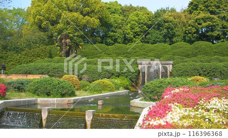 公園のつつじ 116396368