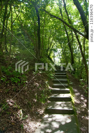 北野丸に続く意思の階段 【八幡山城址】 北野丸に続く意思の階段 【八幡山城址】 116396470