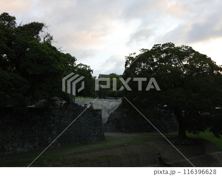 熊本城の風景 116396628