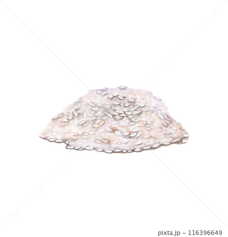 Pile of white rice watercolor illustration. Hand drawn design element isolated from background. Organic farming grains painting for crop harvesting, product packaging or food ingredients clip art Pile of white rice watercolor illustration. Hand drawn design element isolated from background. Organic farming grains painting for crop harvesting, product packaging or food ingredients clip art 116396649