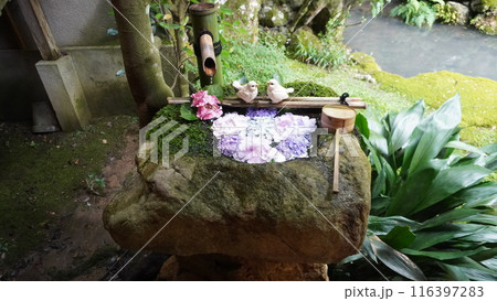 日本庭園 116397283