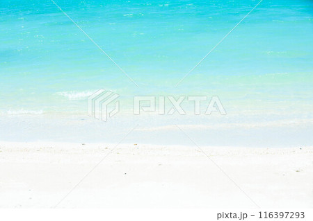 透明な南国の海 背景素材 透明な南国の海 背景素材 116397293