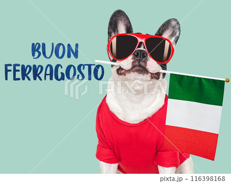 Buon Ferragosto. Cute puppy and Italian Flag 116398168