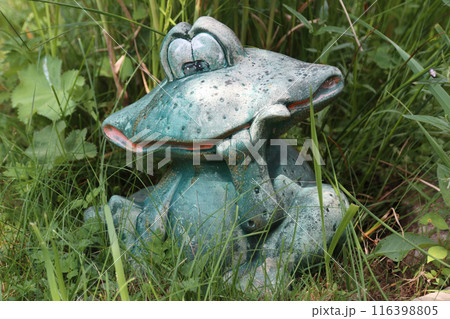 Frog Frog 116398805