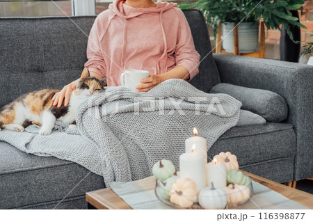 Close up woman in plaid holding cup of tea or coffee, watching movie, TV with multicolored cat on the sofa at home, decorated for fall holidays. Cozy and comfortable autumn concept. Selective focus 116398877