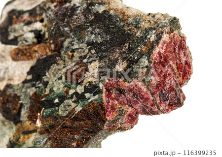 Macro stone mineral Actinolite on a white background Macro stone mineral Actinolite on a white background 116399235
