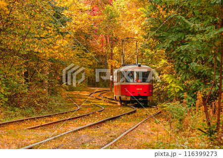 Autumn forest through which an old tram rides (Ukraine) Autumn forest through which an old tram rides (Ukraine) 116399273