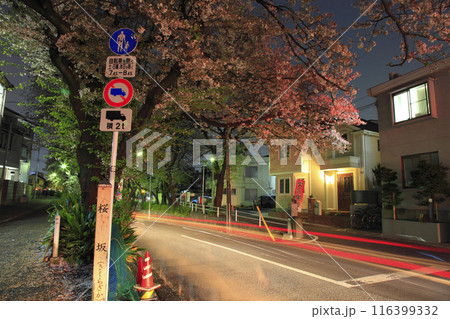 田園調布本町 桜坂 116399332