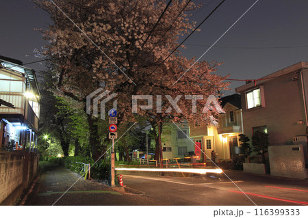 田園調布本町 桜坂 田園調布本町 桜坂 116399333