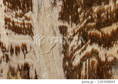 Macro stone mineral petrified wood on a black background Macro stone mineral petrified wood on a black background 116399604