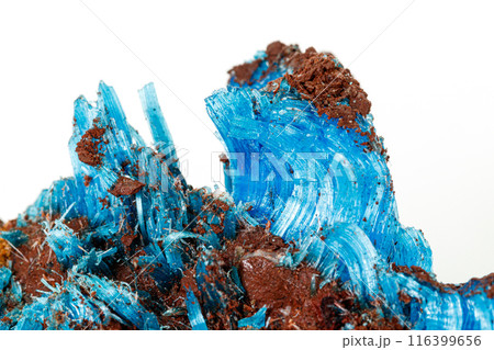 Macro of stone Chalcanthite mineral on white background Macro of stone Chalcanthite mineral on white background 116399656