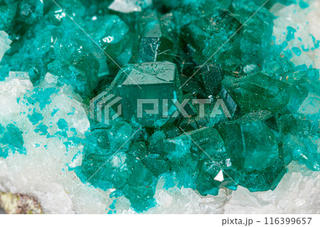 Macro mineral stone Dioptase silicate copper on a white background Macro mineral stone Dioptase silicate copper on a white background 116399657