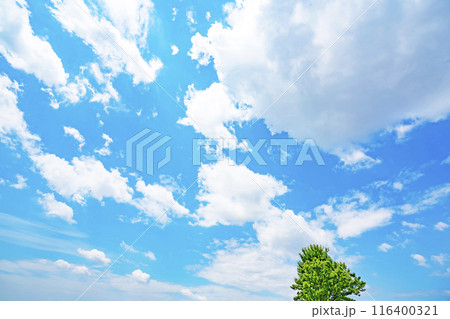 夏の雲と太陽と木立 夏の雲と太陽と木立 116400321