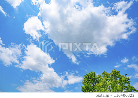 夏の雲と太陽と木立 夏の雲と太陽と木立 116400322