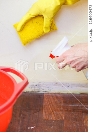 Person washing mold out of wall Person washing mold out of wall 116400472