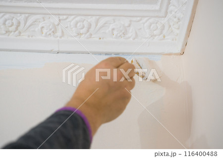 Person applying paint on wall 116400488