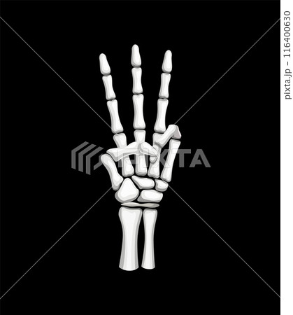 Skeleton hand forms a three-fingered gesture. Isolated vector Halloween skeletal arm creating a striking and eerie symbol with bony fingers extended, embodying a cryptic or mysterious message 116400630