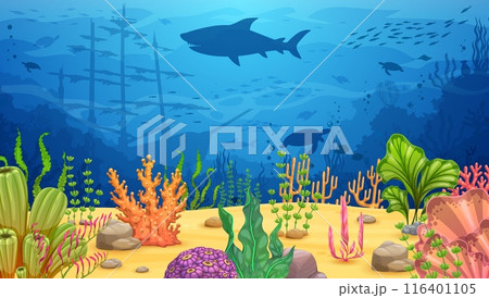 Cartoon underwater landscape with algae seaweeds and sea animal silhouettes, vector background. Ocean or undersea coral reef landscape with sunken ship boat, shark and turtle or fish in deep water 116401105