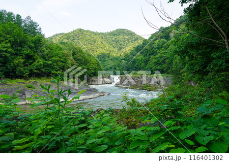 空知大滝（空知川・2024年初夏） 116401302