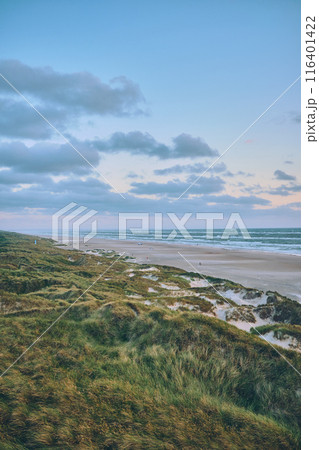 dunes at the coastline of northern Denmark dunes at the coastline of northern Denmark 116401422