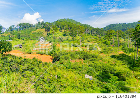 The natural landscape. The natural landscape. 116401894
