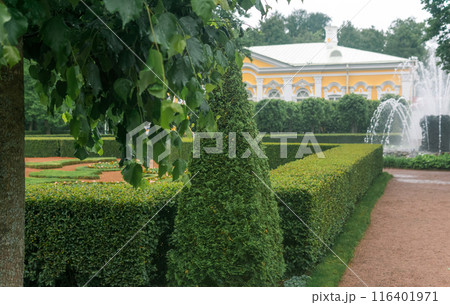 fragment of a french formal garden with topiary and fountain fragment of a french formal garden with topiary and fountain 116401971