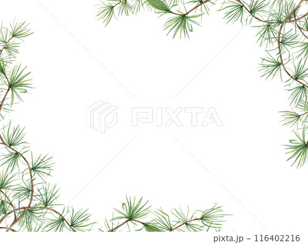 Green pine branches. European Larch or Larix tree (Larix decidua). Beautiful horizontal border with nature theme. Watercolor illustration isolated on white. Copy space for text. Botanical elements 116402216